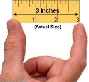 penis length