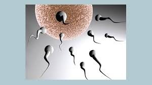 increase in fertility