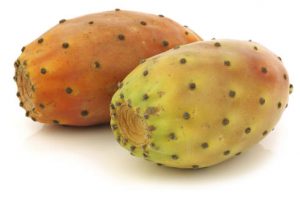 Benefits of cactus fruit