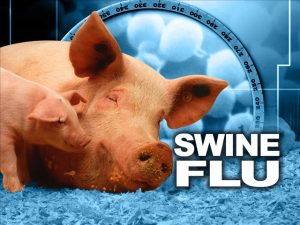 infant swine flu vaccine flu vaccine swine flu vaccine polyethylene glycol p-isooctylphenyl