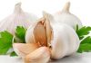 Garlic Benefits: Garlic Works to Improve Immunity, Protects Against Cancer Garlic Benefits