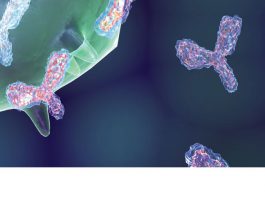 toxic shock syndrome shock syndrome have protective antibodies protective antibodies