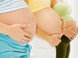 twin pregnancy pregnant with twins