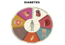 Diabetes Prevention from the Kitchen Diabetes Prevention meat seafood and fish blood sugar must be organic