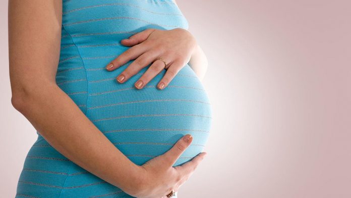 double uterus double pregnancy
