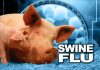 Infant’s Swine Flu Vaccine Injection Ingredients: Toxins in H1N1 Vaccination Formulated for Babies Six Months and Up infant swine flu vaccine flu vaccine swine flu vaccine polyethylene glycol p-isooctylphenyl