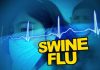 Unknown Dangers of Swine Flu Vaccine: Is the H1N1 Shot Safe – Questions About the Immunization Campaign swine flu questions about the h1n1 vaccine