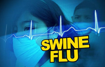 swine flu questions about the h1n1 vaccine