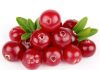Cranberry Is Natural UTI Care: Natural Treatment Superior to Antibiotics for Chronic UTI natural bacteria urinary tract infections cranberry extract