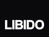 Loss of Libido: Dealing with a Low Sex Drive Libido sex drive sexual energy psychological causes