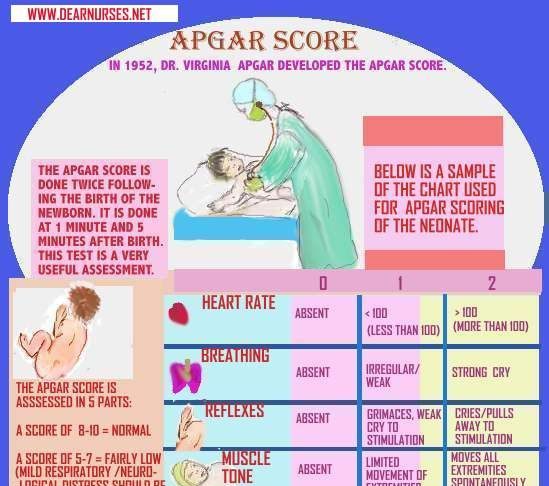 one minute after birth immediate medical attention apgar 100 beats per minute